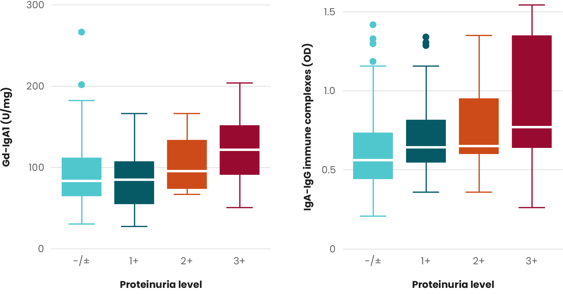 Graph depicting the correlation between severity of proteinuria and levels of serum Gd-IgA1 or IgA-IgG immune complexes