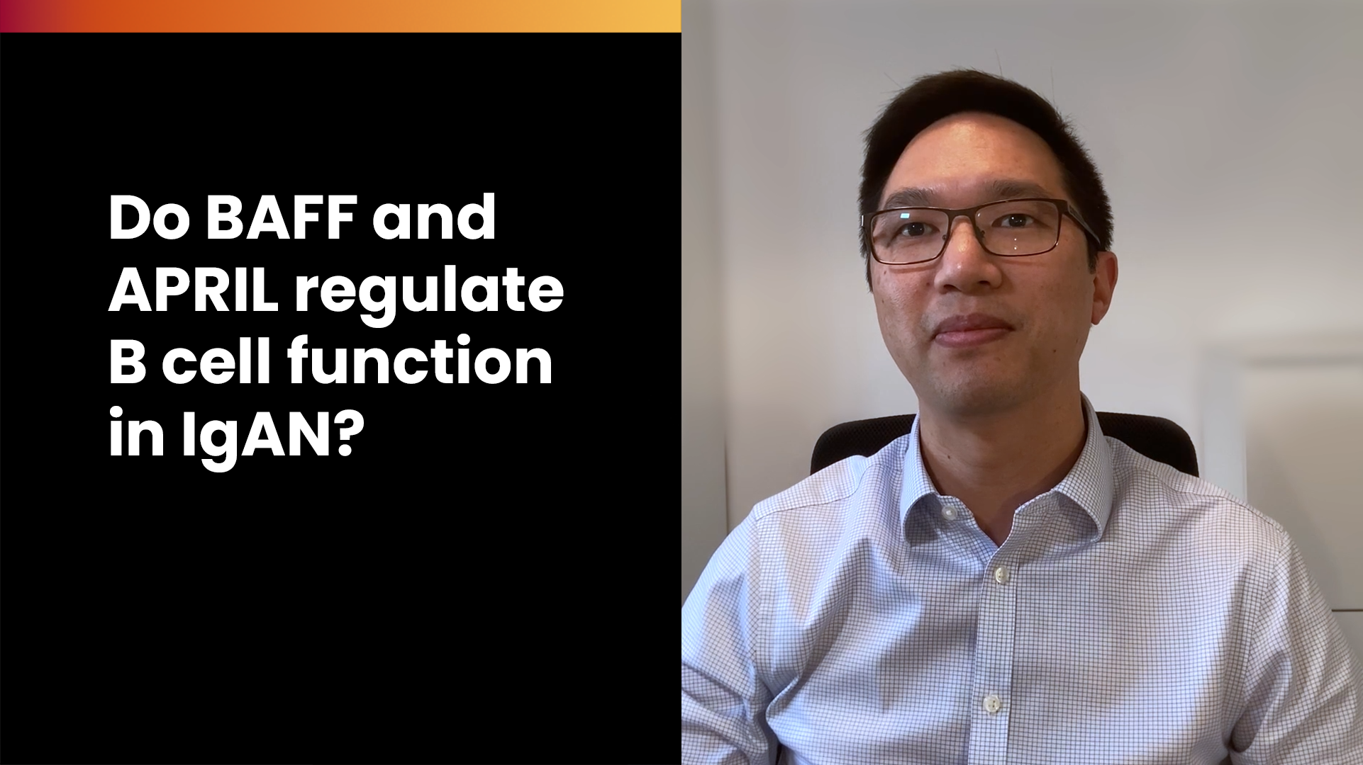 How do BAFF and APRIL regulate B cell function in IgAN?