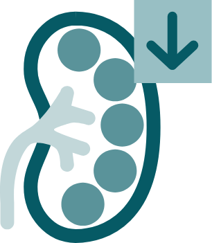 Illustration of the four disease markers in IgAN: Gd-IgA1, hematuria, proteinuria, and kidney function (eGFR)